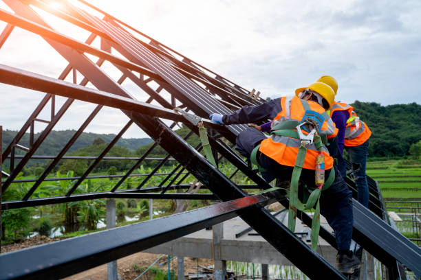 Best Roof Gutter Cleaning  in Cameron Park, TX